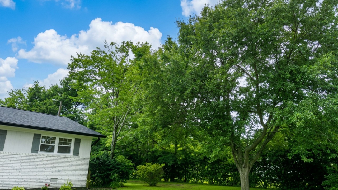 Photo of Outdoor in Hubert