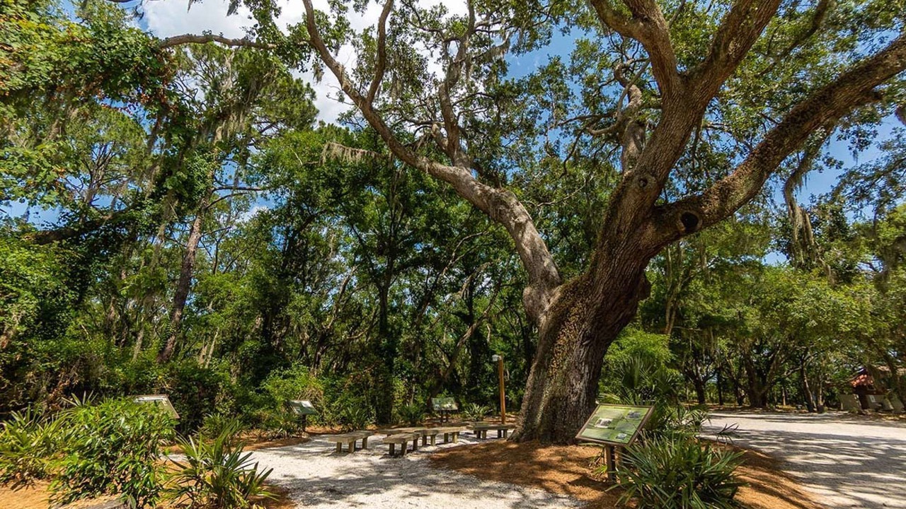 Photo of Others in Shipyard Plantation