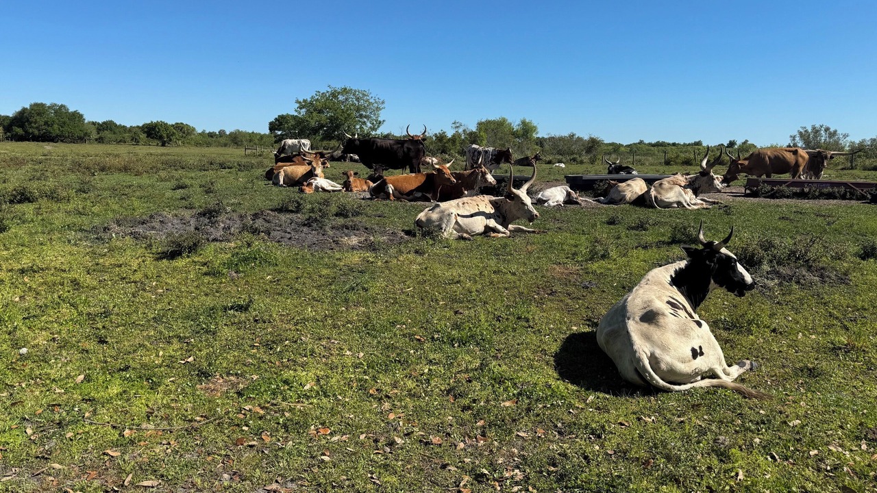 Photo of Others in River Ranch