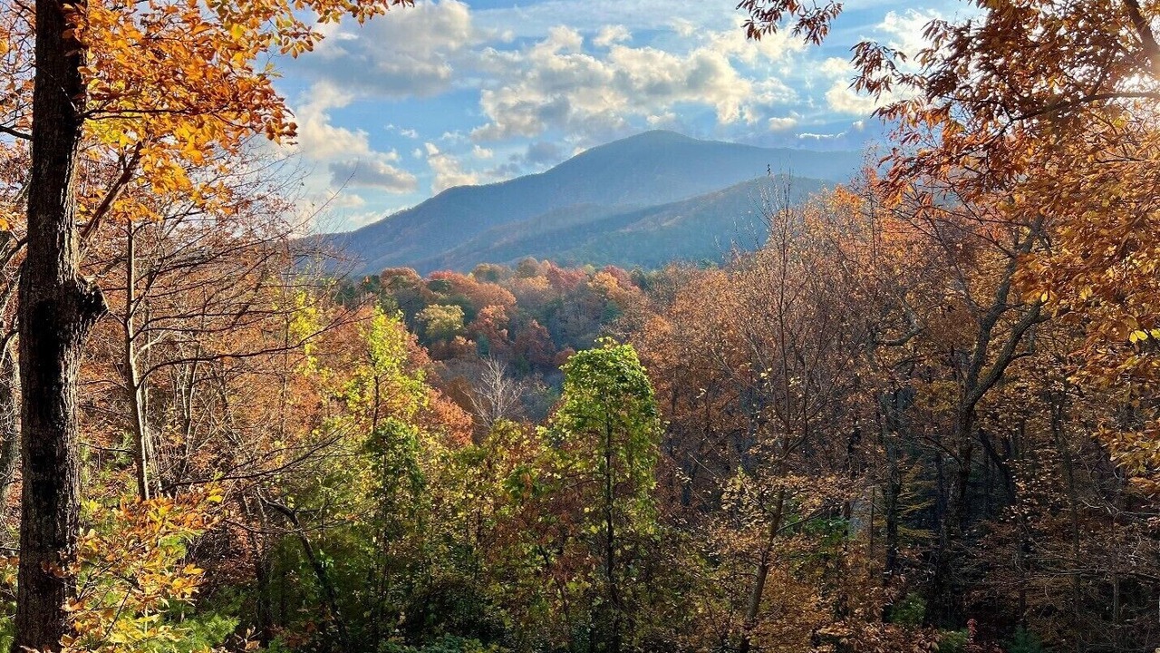 Photo of Others in Wears Valley