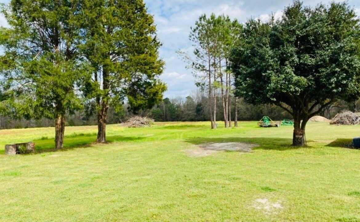 Photo of Outdoor in Ruffin