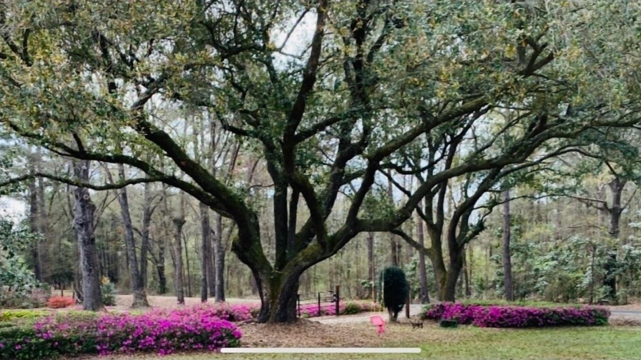 Photo of Others in Ruffin