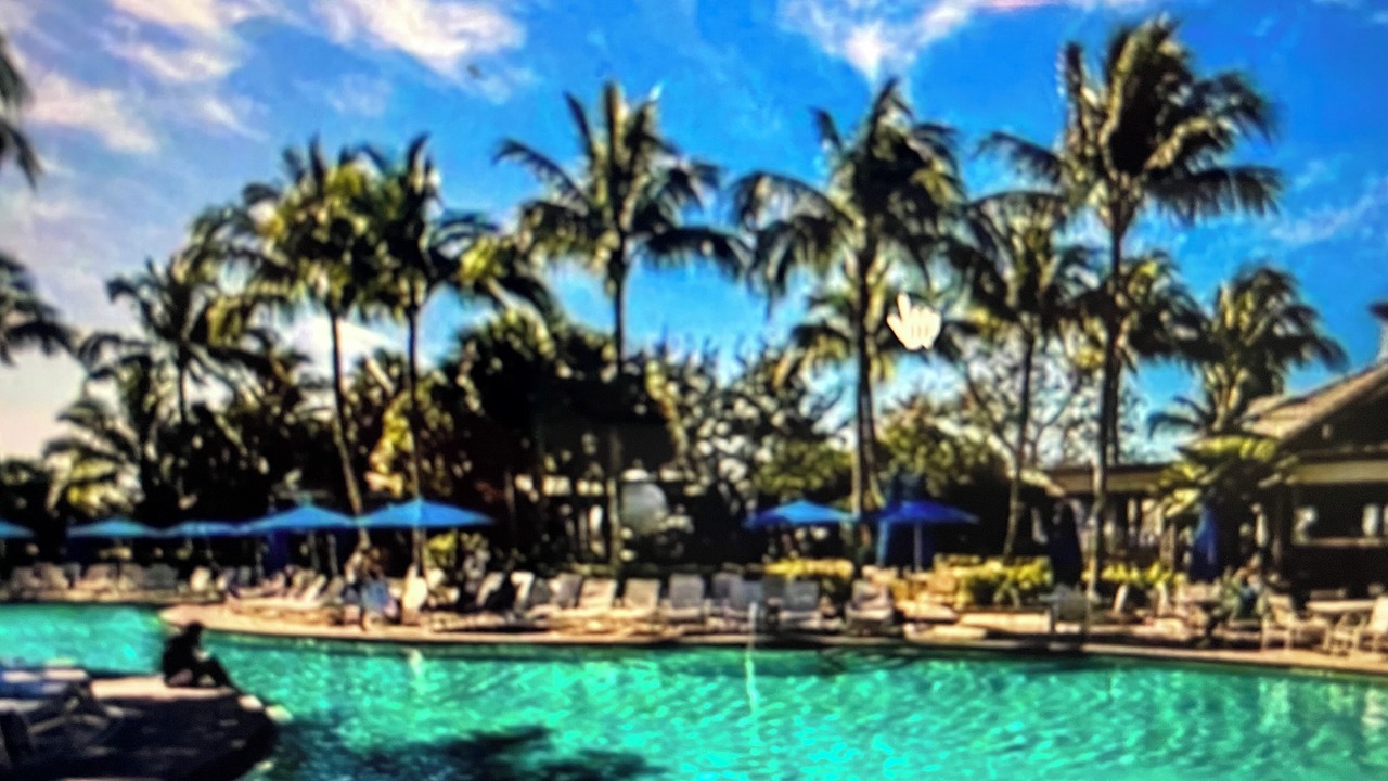 Photo of Outdoor in Naples