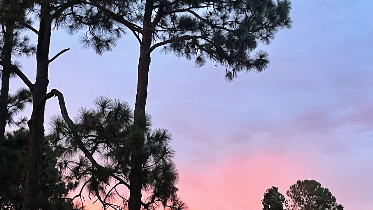Photo of Others in Aiken