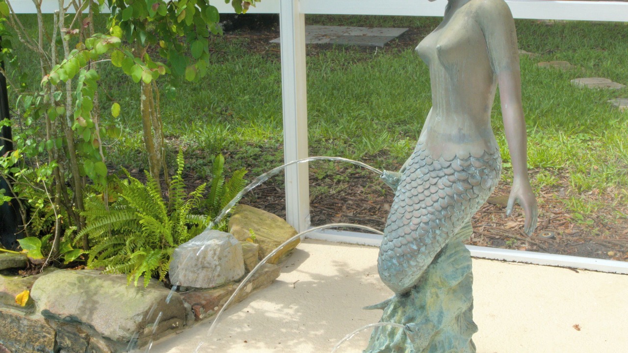 Photo of Outdoor in Port Saint Lucie