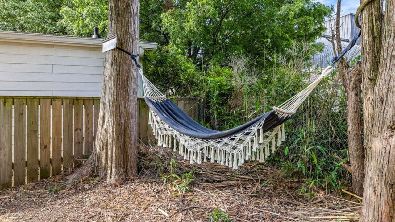 Photo of Others in Gainesville