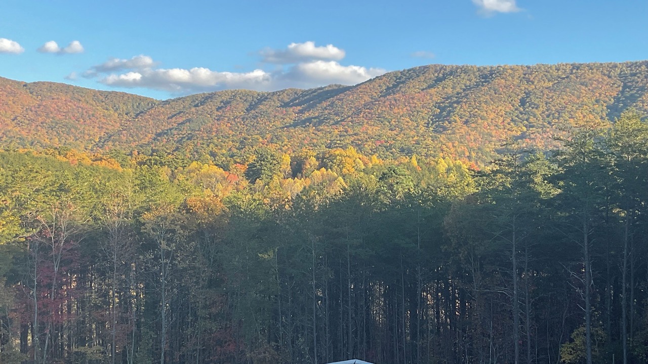 Photo of Outdoor in Tellico Plains
