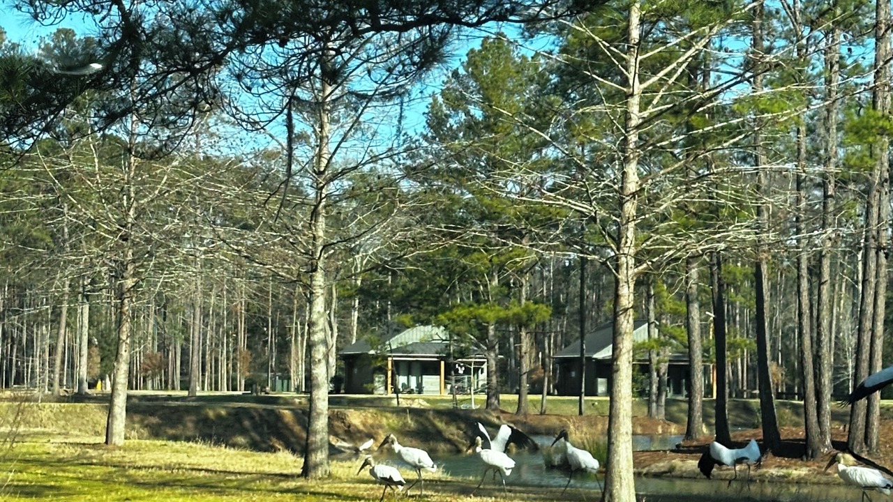Photo of Others in Walterboro