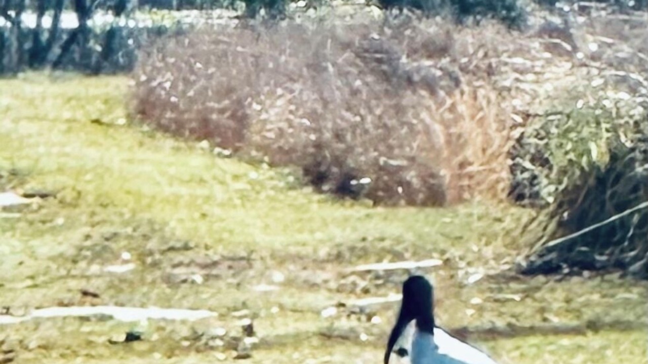 Photo of Others in Walterboro