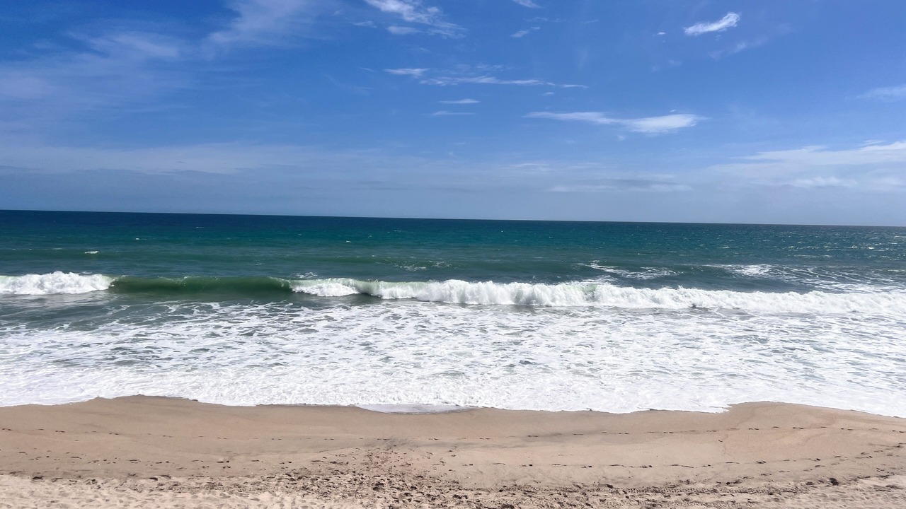 Photo of Others in Melbourne Beach