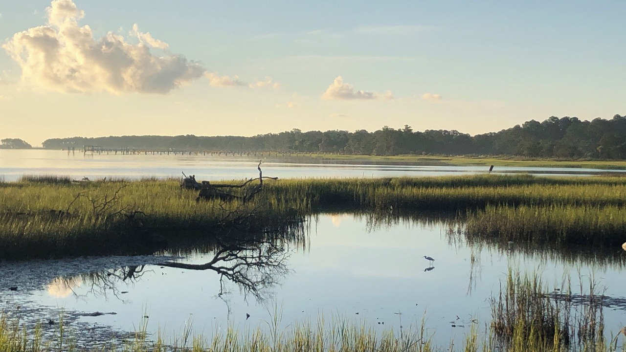 Photo of Others in Beaufort