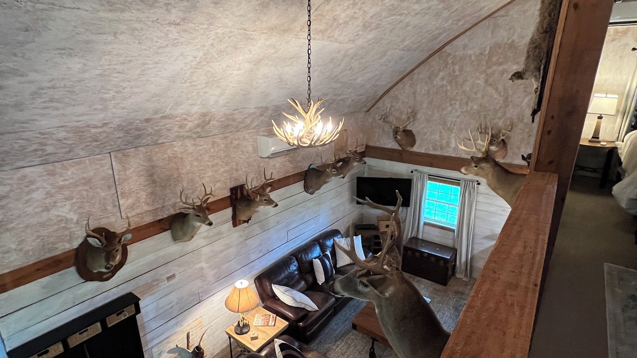 Photo of Livingroom in Metter