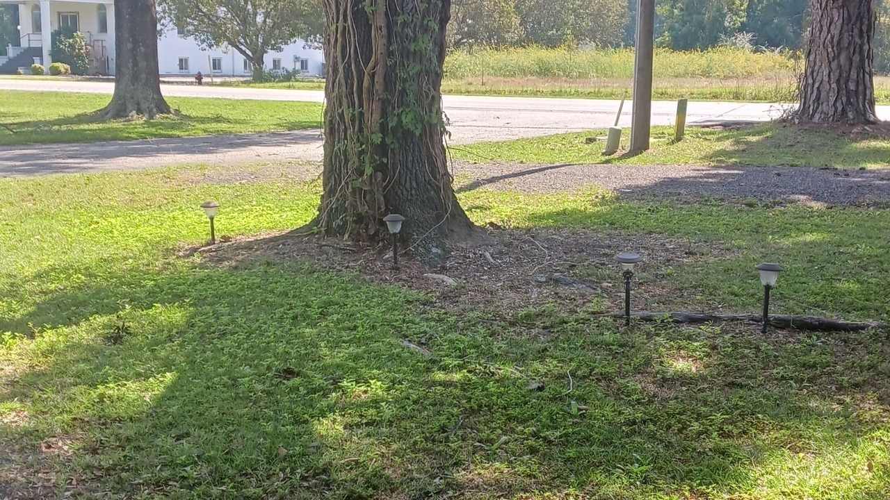 Photo of Outdoor in Longs