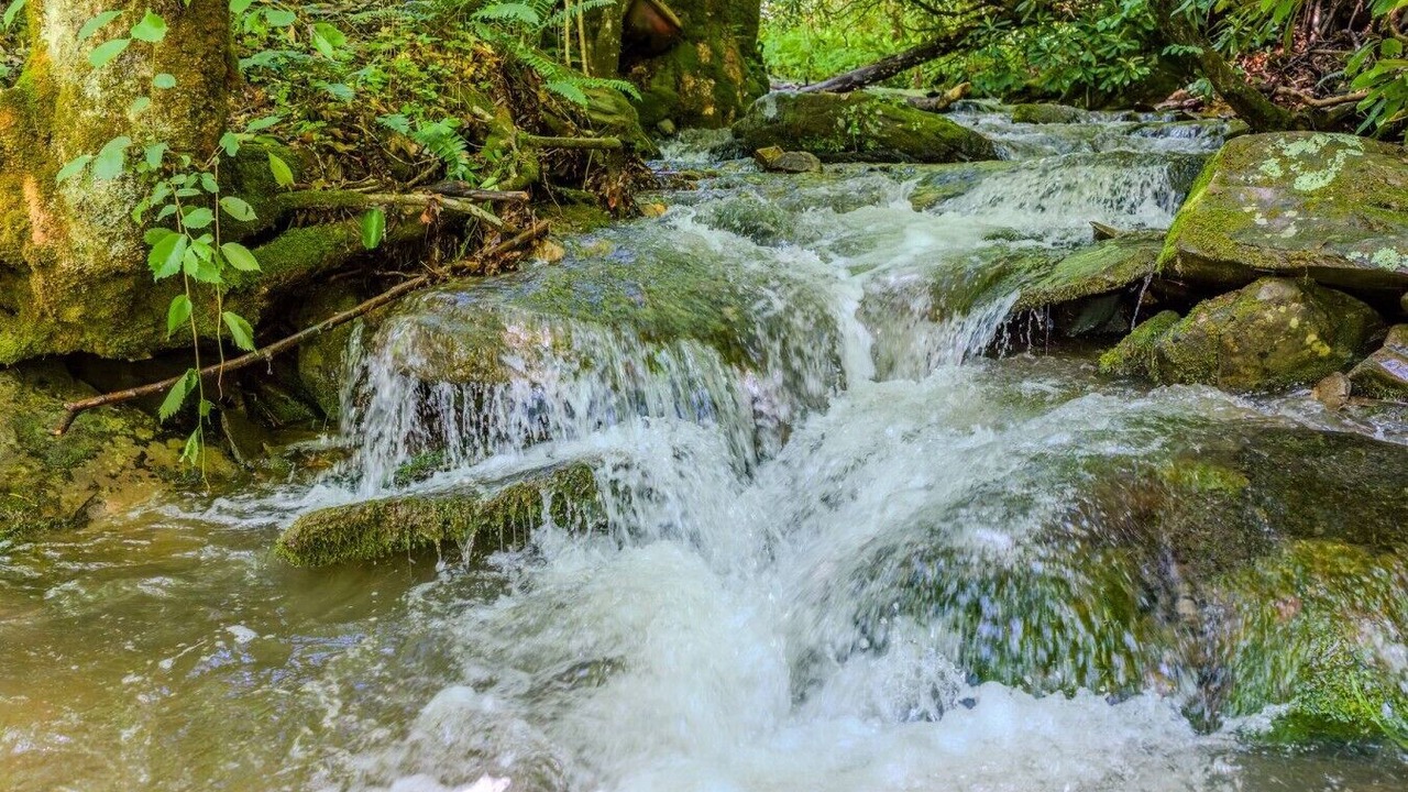 Photo of Others in Bryson City