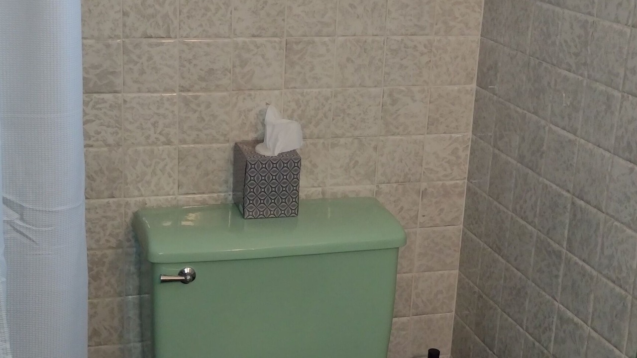 Photo of Bathroom in Sebring