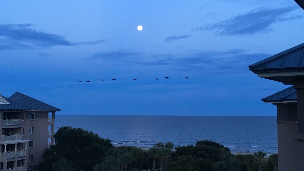 Photo of Others in Hilton Head Island