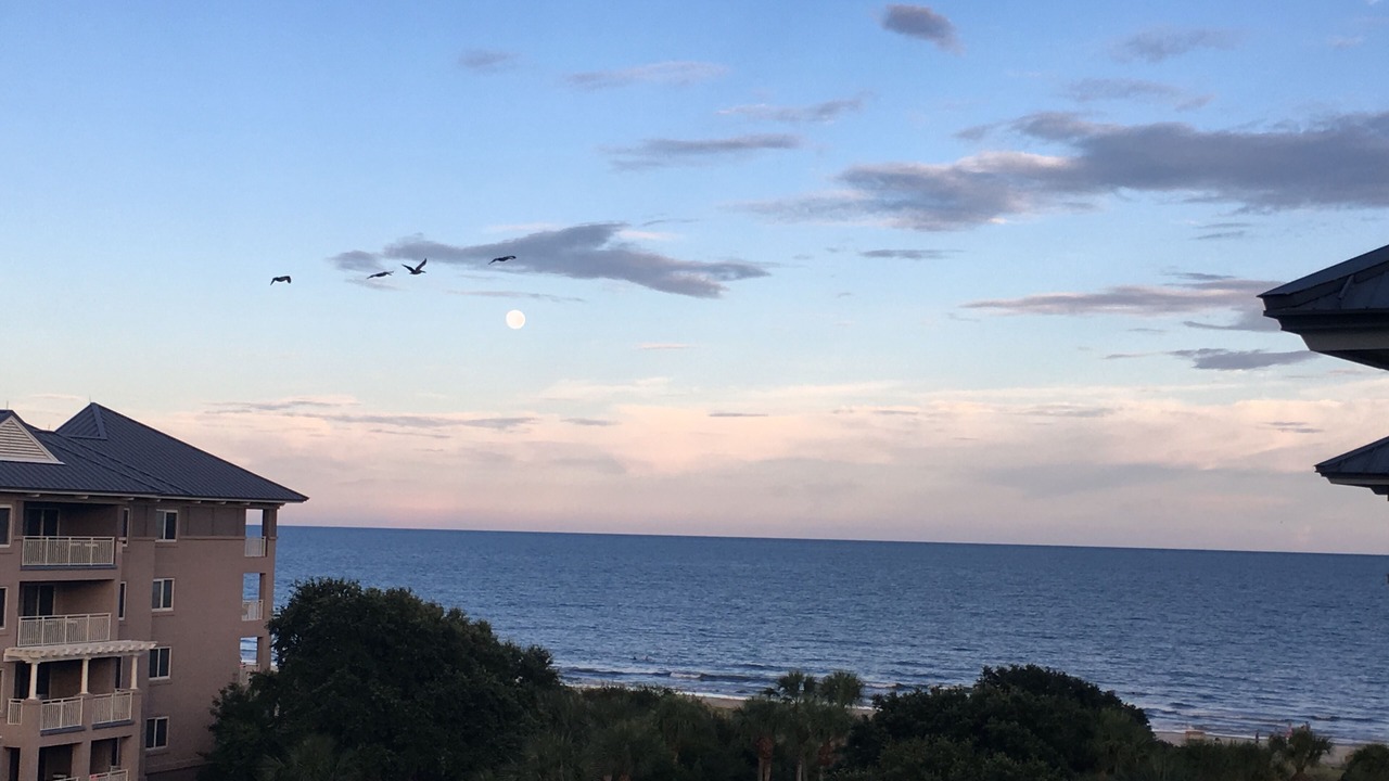 Photo of Others in Hilton Head Island