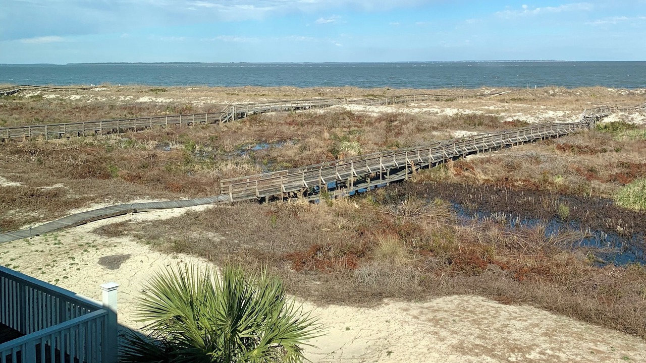 Photo of Others in Saint Helena Island