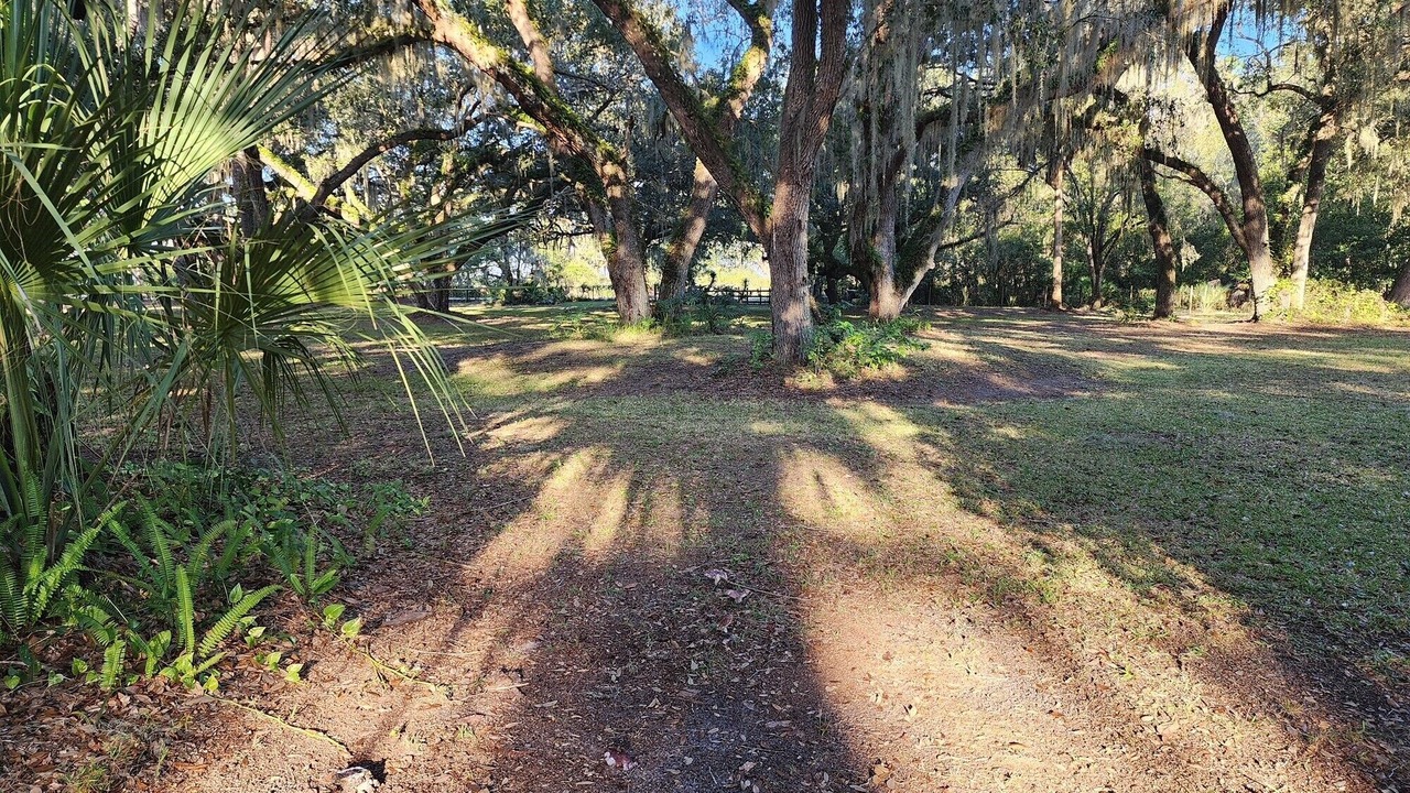 Photo of Outdoor in Fedhaven