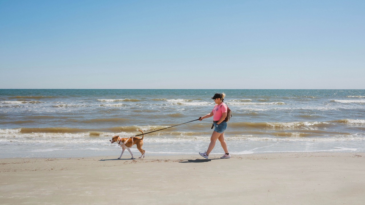Photo of Others in North Forest Beach