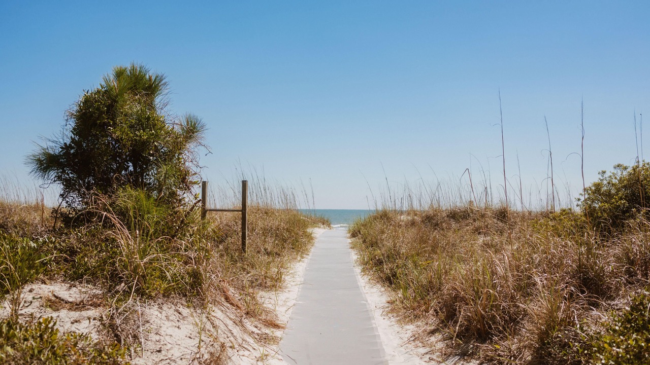 Photo of Others in North Forest Beach
