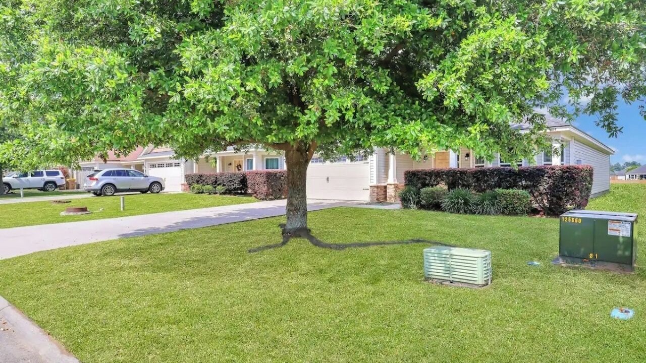 Photo of Outdoor in Port Wentworth