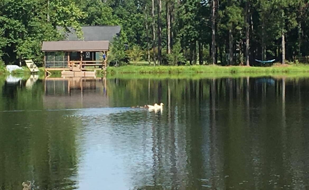 Photo of Outdoor in Statesboro