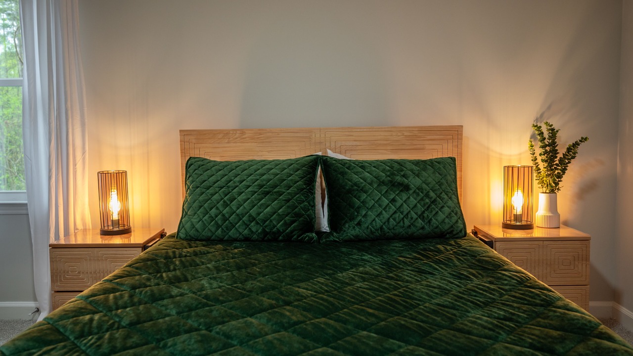 Photo of Bedroom in North Raleigh