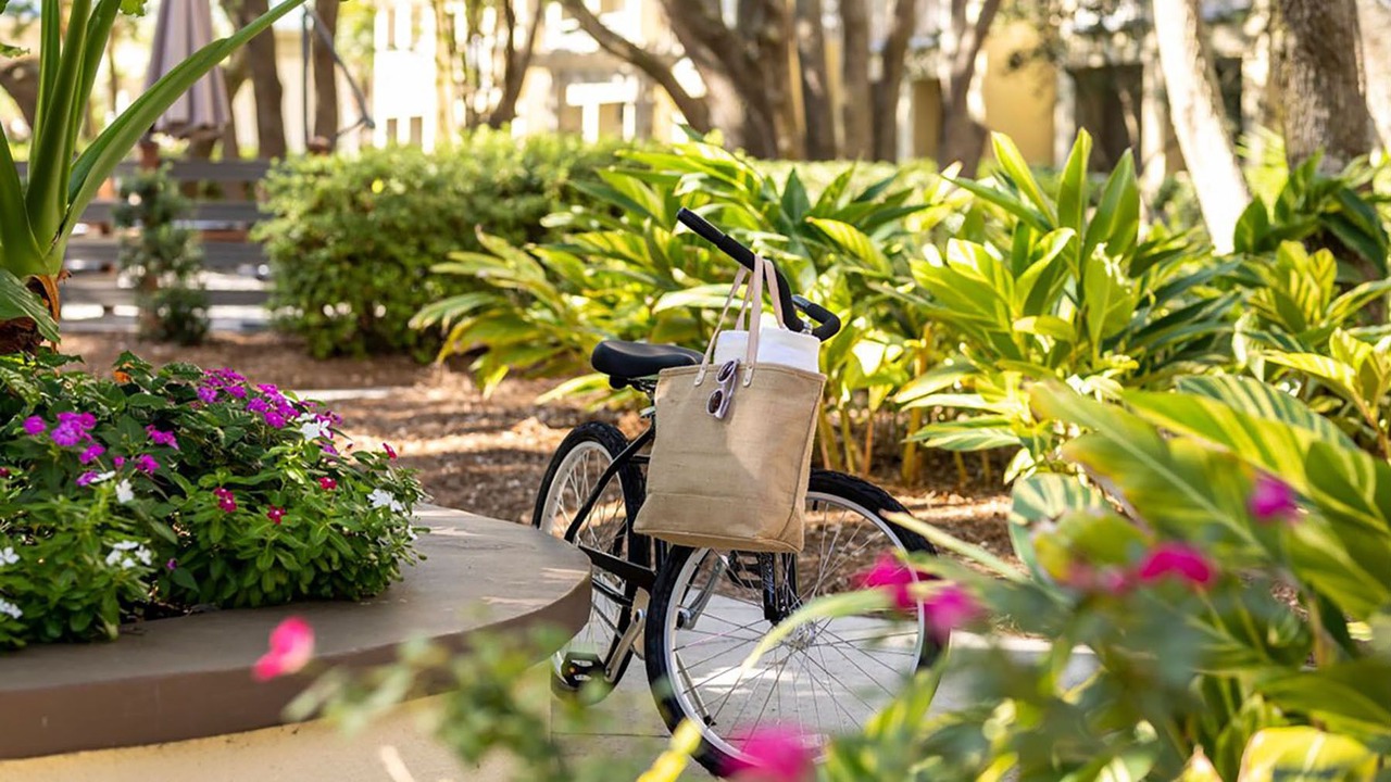 Photo of Outdoor in Folly Field