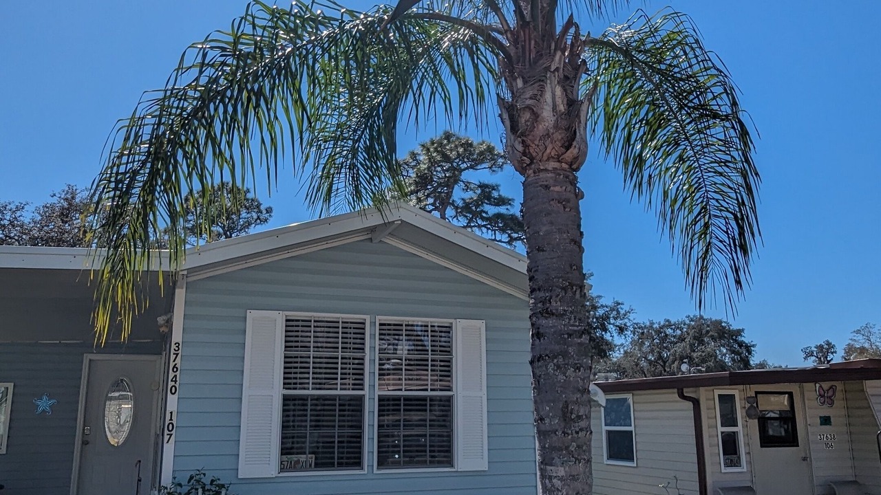 Photo of Outdoor in Zephyrhills South