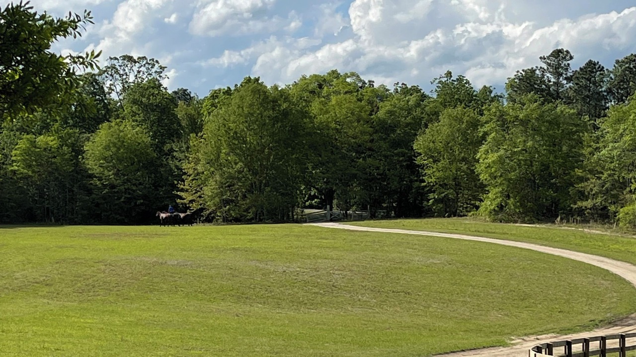 Photo of Others in South Carolina Lakes & Blackwater Rivers