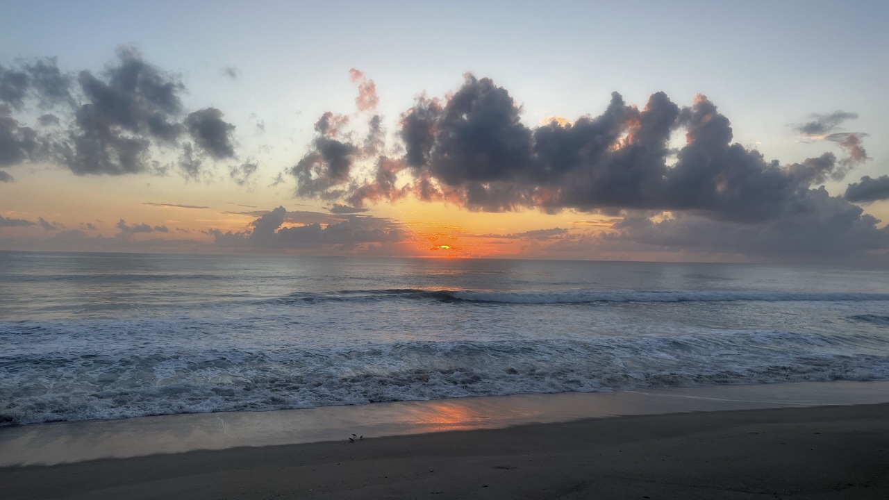 Photo of Others in Melbourne Beach
