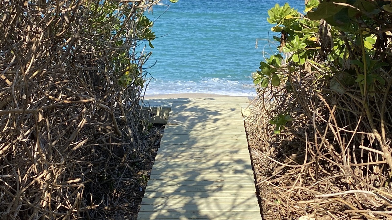 Photo of Others in Melbourne Beach