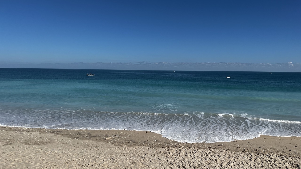 Photo of Others in Melbourne Beach