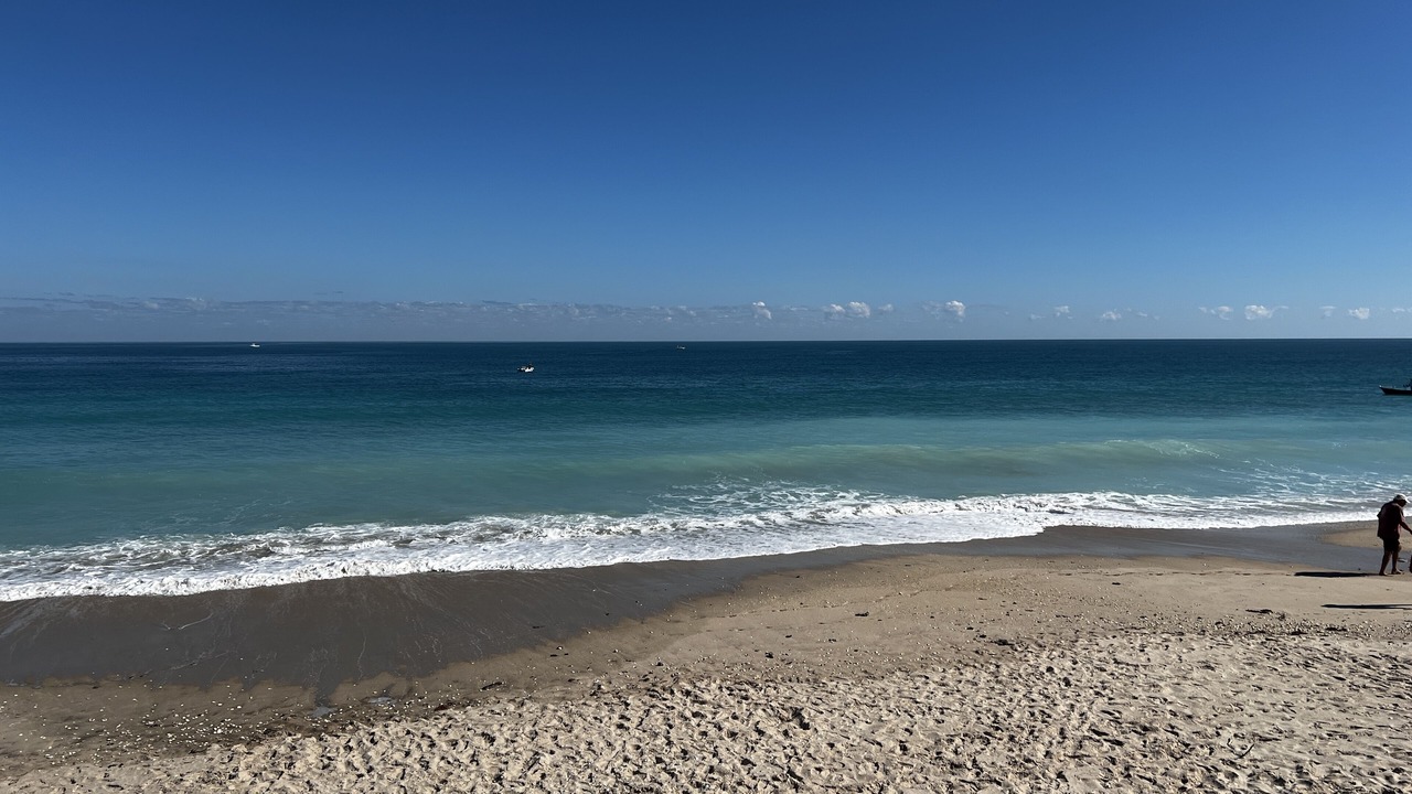 Photo of Others in Melbourne Beach