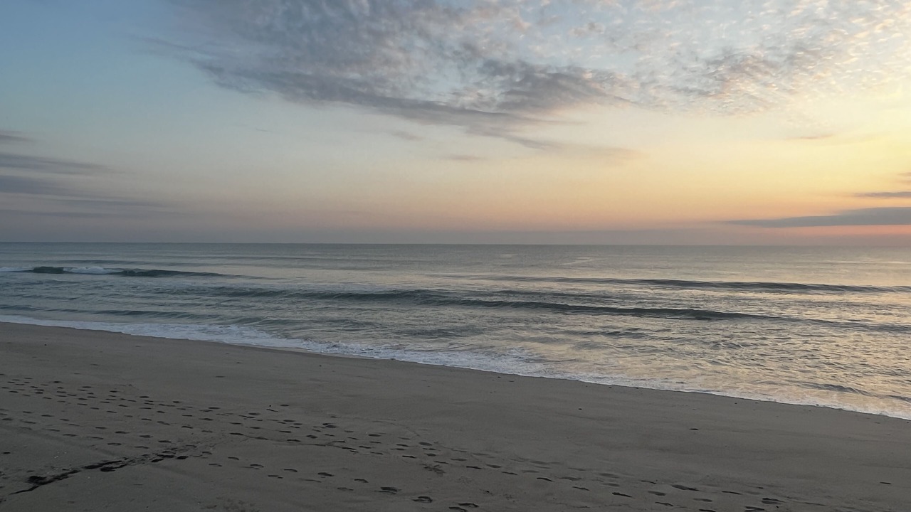 Photo of Others in Melbourne Beach