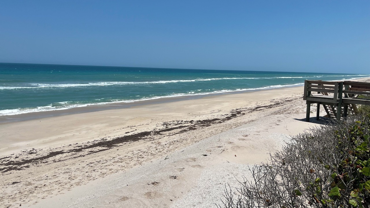 Photo of Others in Melbourne Beach