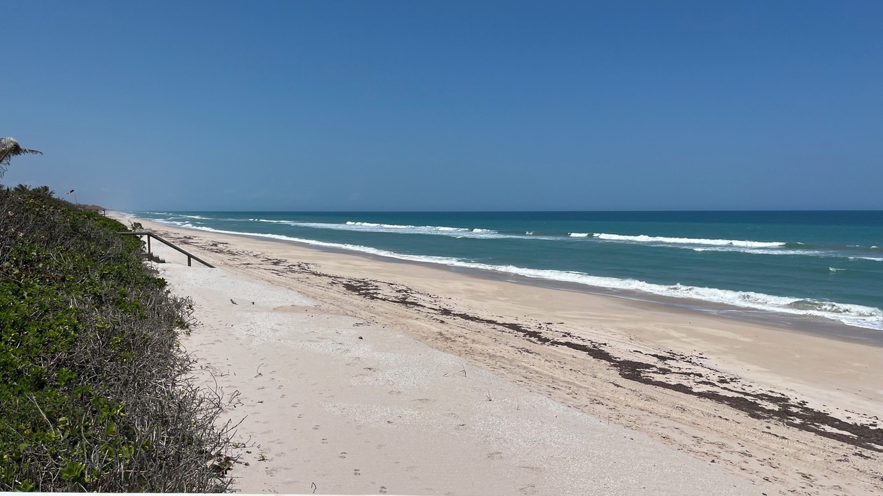 Photo of Others in Melbourne Beach