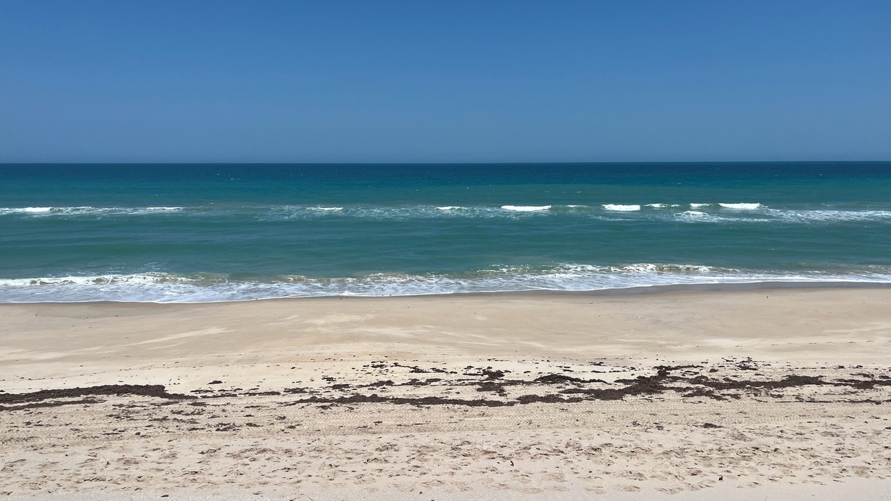 Photo of Others in Melbourne Beach