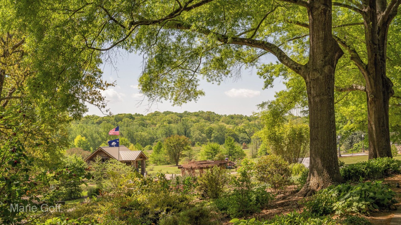 Photo of Outdoor in Clemson