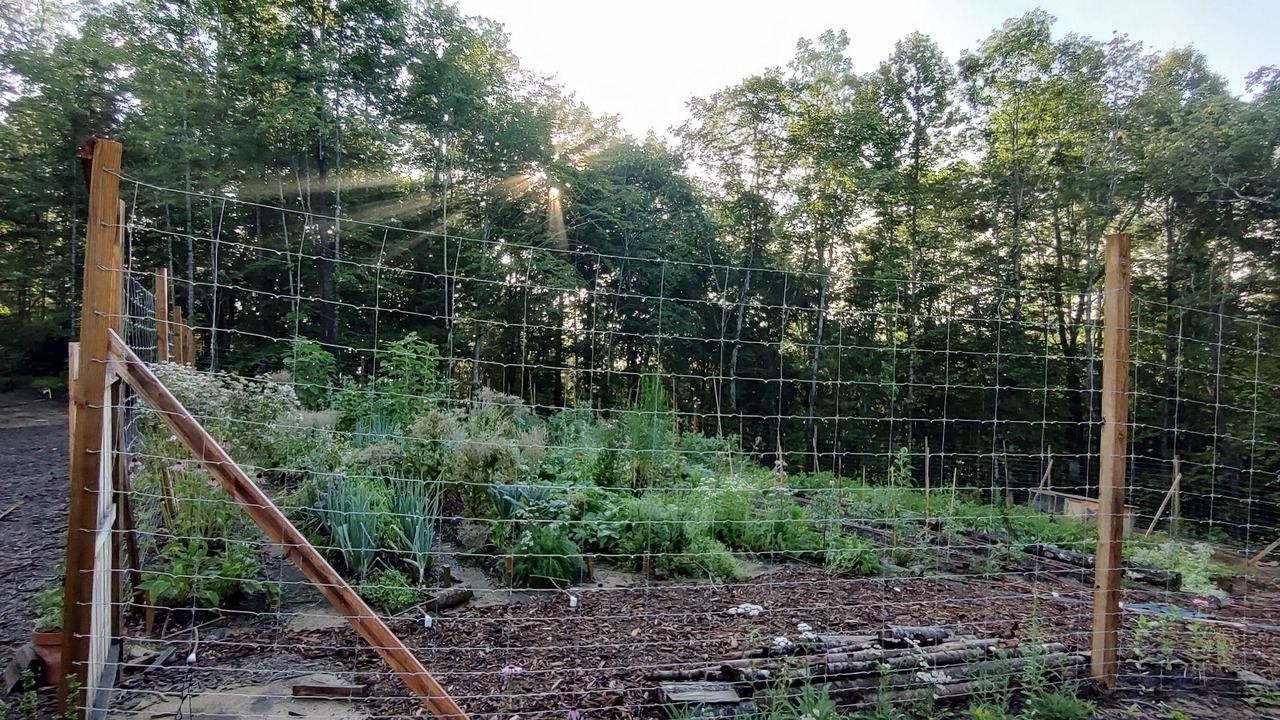 Photo of Outdoor in Brevard
