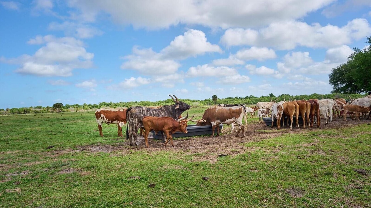 Photo of Others in River Ranch