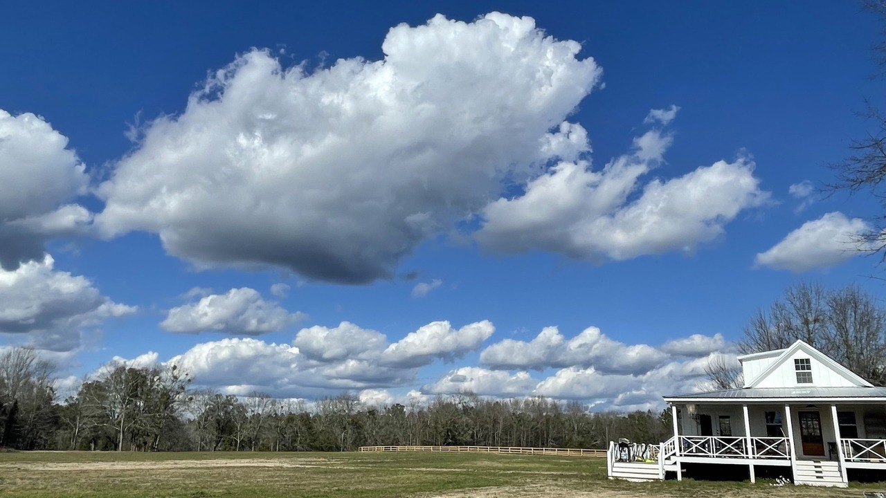 Photo of Outdoor in South Carolina Lakes & Blackwater Rivers