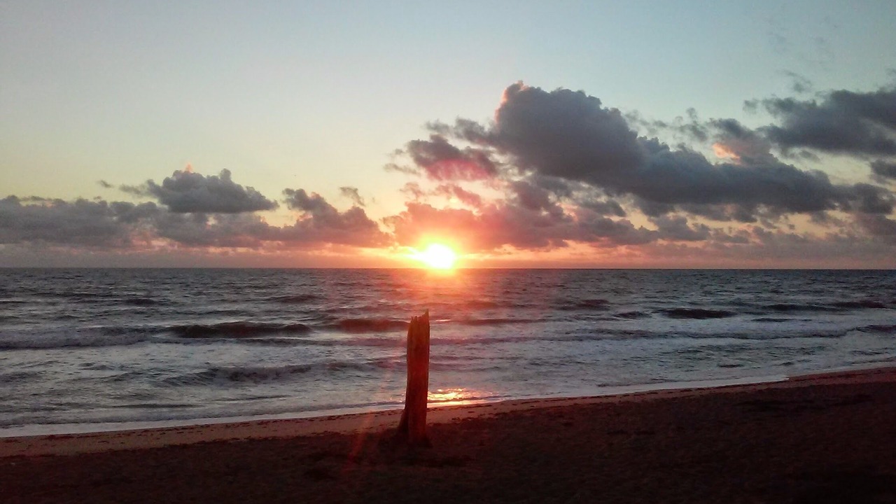 Photo of Others in Hutchinson Island South