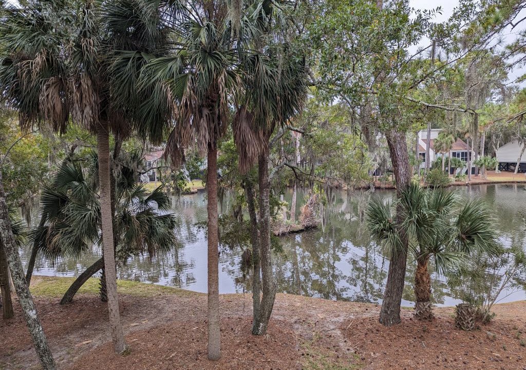 Photo of Outdoor in Ocean Ridge