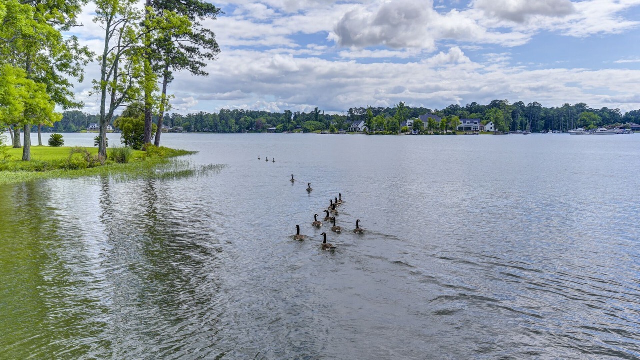 Photo of Others in Lake Murray of Richland