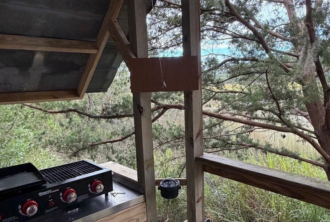 Photo of Outdoor in Savannah