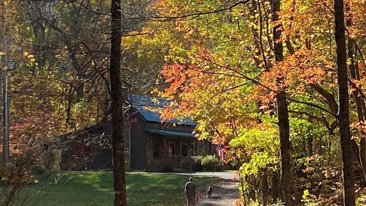 Photo of Outdoor in Brevard