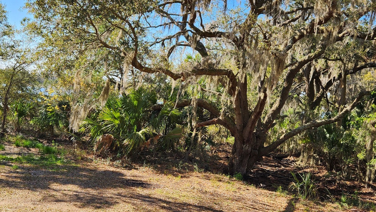 Photo of Outdoor in Saint Helena Island