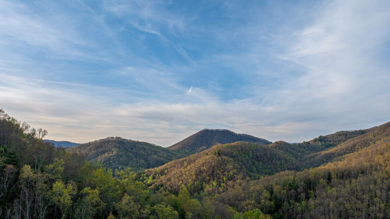 Photo of Others in Sylva